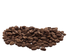 Kawy » Single Coffee Grange
